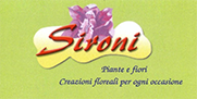 SironiPiante